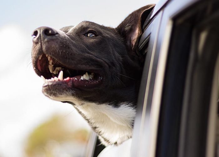 10 Breathtaking Destinations to Explore